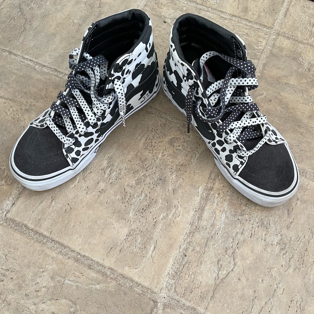 Customized vans